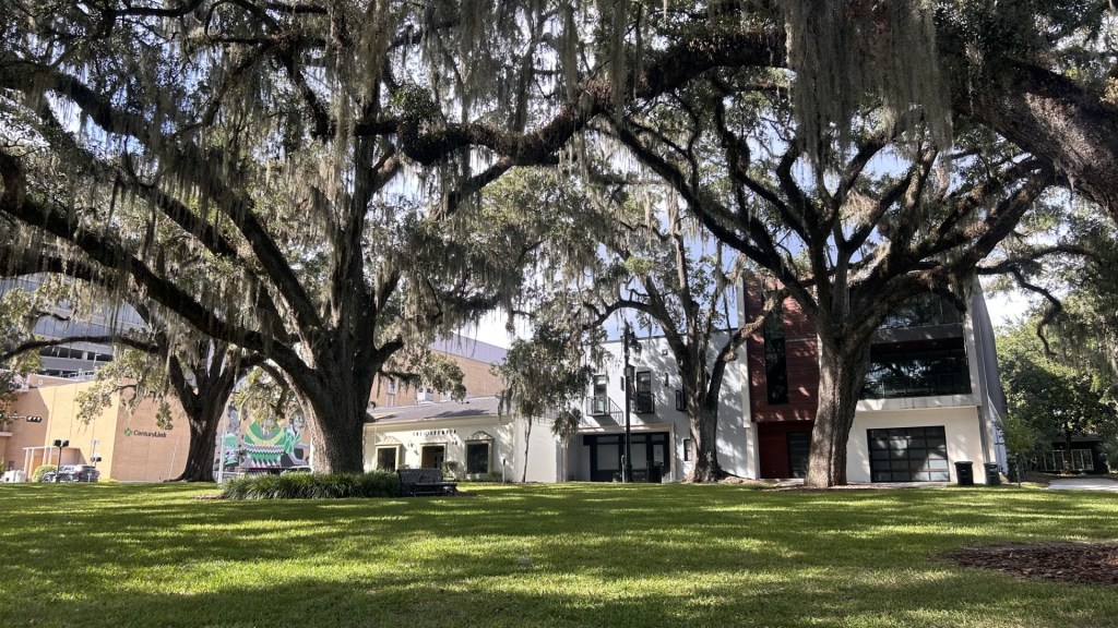 Tallahassee named finalist for national arts and music grant